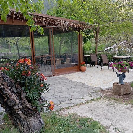 Xenonas Souliou Hotel Samonida Exterior foto