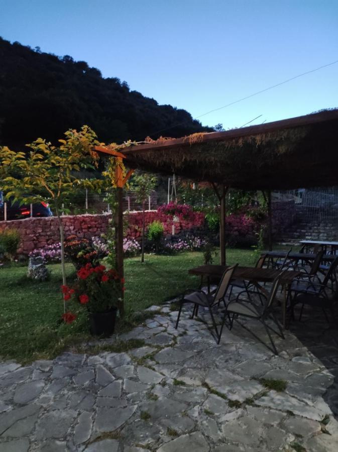 Xenonas Souliou Hotel Samonida Exterior foto
