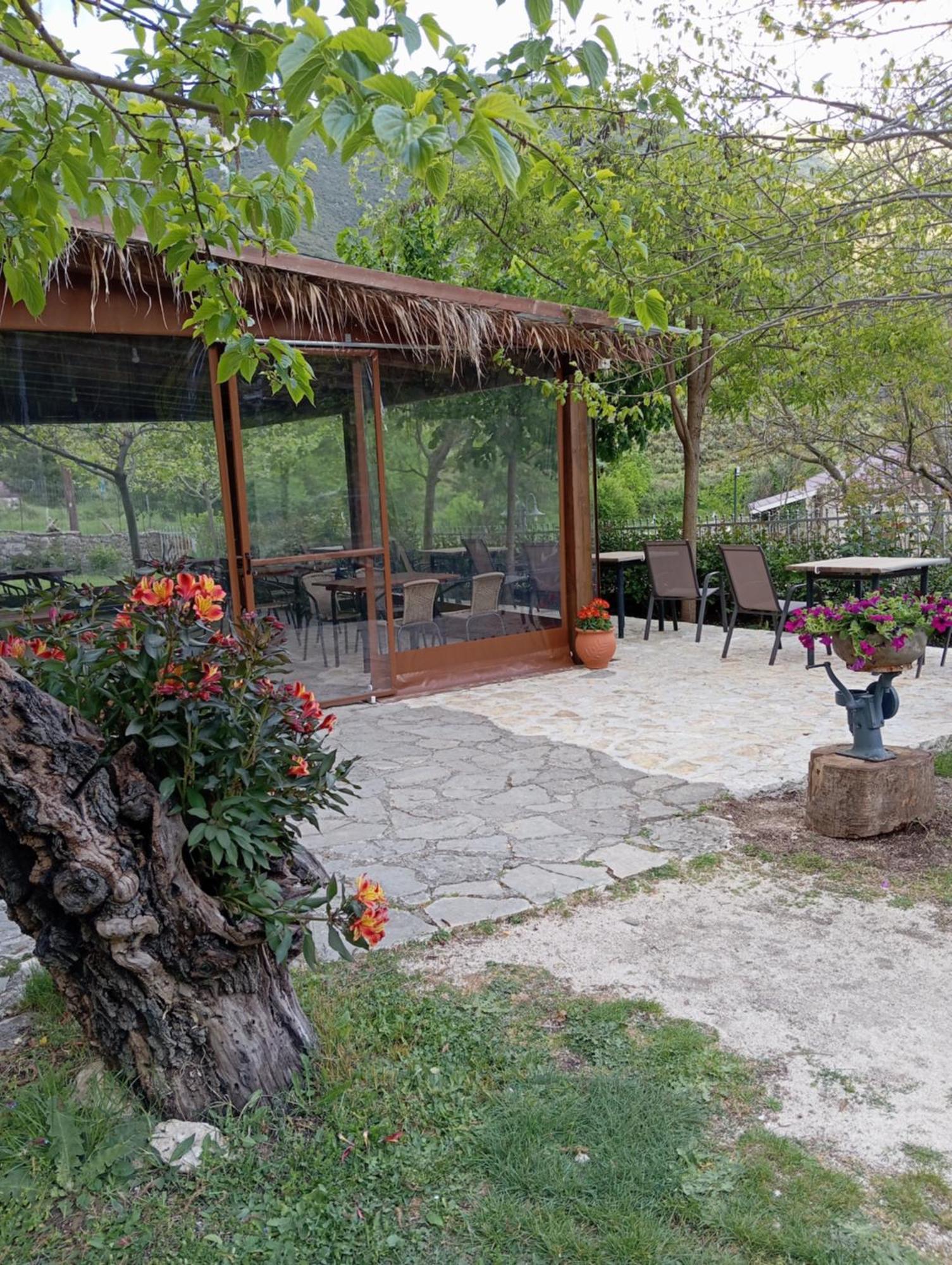 Xenonas Souliou Hotel Samonida Exterior foto