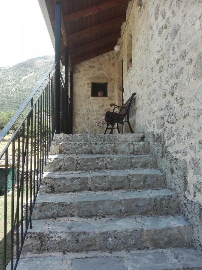 Xenonas Souliou Hotel Samonida Exterior foto